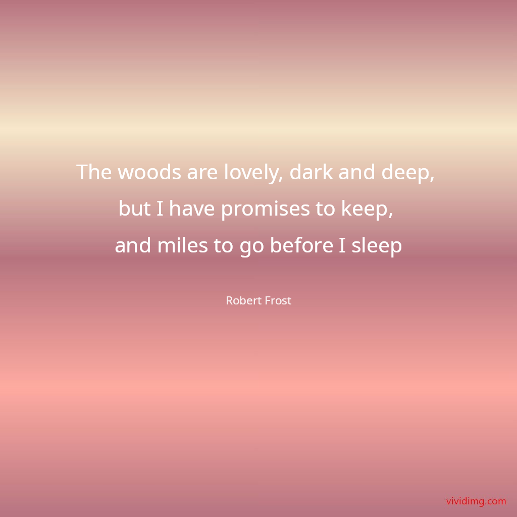 The woods are lovely, dark and deep, but I have promises to keep, and miles to go before I sleep